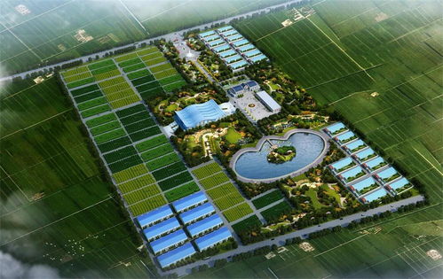 涼城縣供熱管網概念規劃設計怎么寫