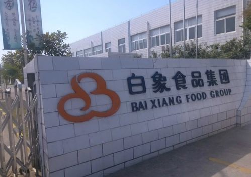 最良心民企 白象公開(kāi)招聘,專(zhuān)科生起薪令人羨慕,學(xué)歷決定待遇