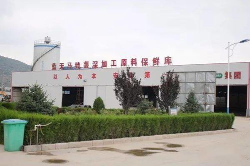 我國(guó)開發(fā)出6大系列260多種馬鈴薯主食產(chǎn)品