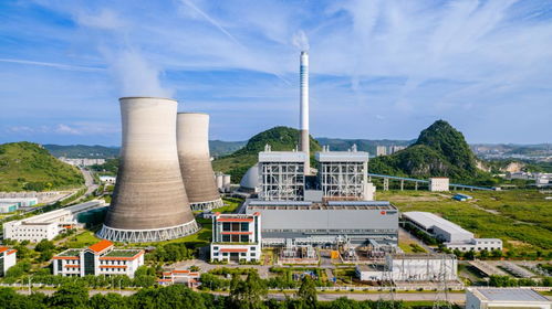 走進ce,一起rise 國能廣西公司舉辦2024年品牌開放日活動